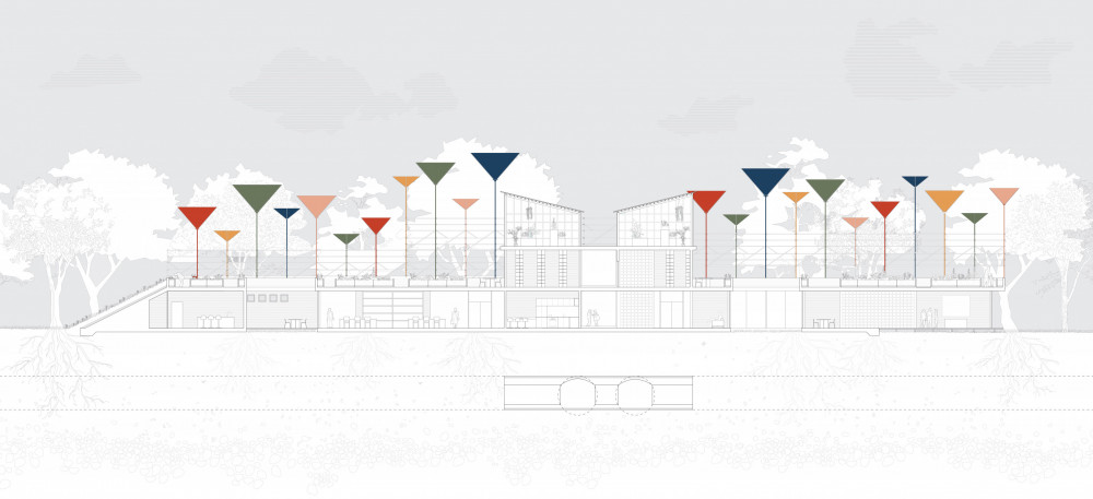 “Evolving an Urban Ecology” long section