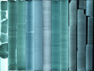 11 Cores Peggy Weil 2025