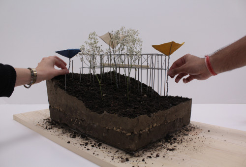 “Evolving an Urban Ecology” model photo